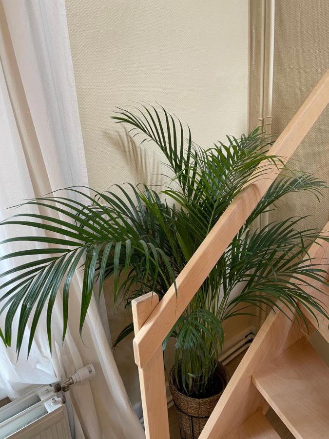 Le 25, Duplex Elegant Au Coeur Du Pietonnier Historique Apartman Namur Kültér fotó